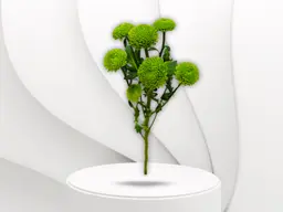 Green Creez Flower